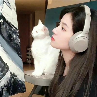 玛丽苏遇上杰克苏